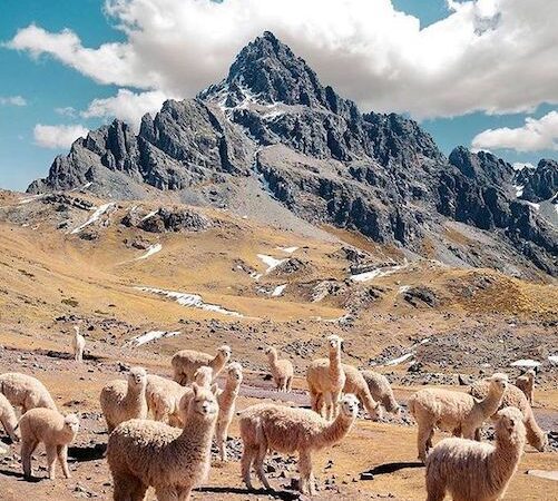 Ausangate Trek Peru - Ausangate Trek 5 Days